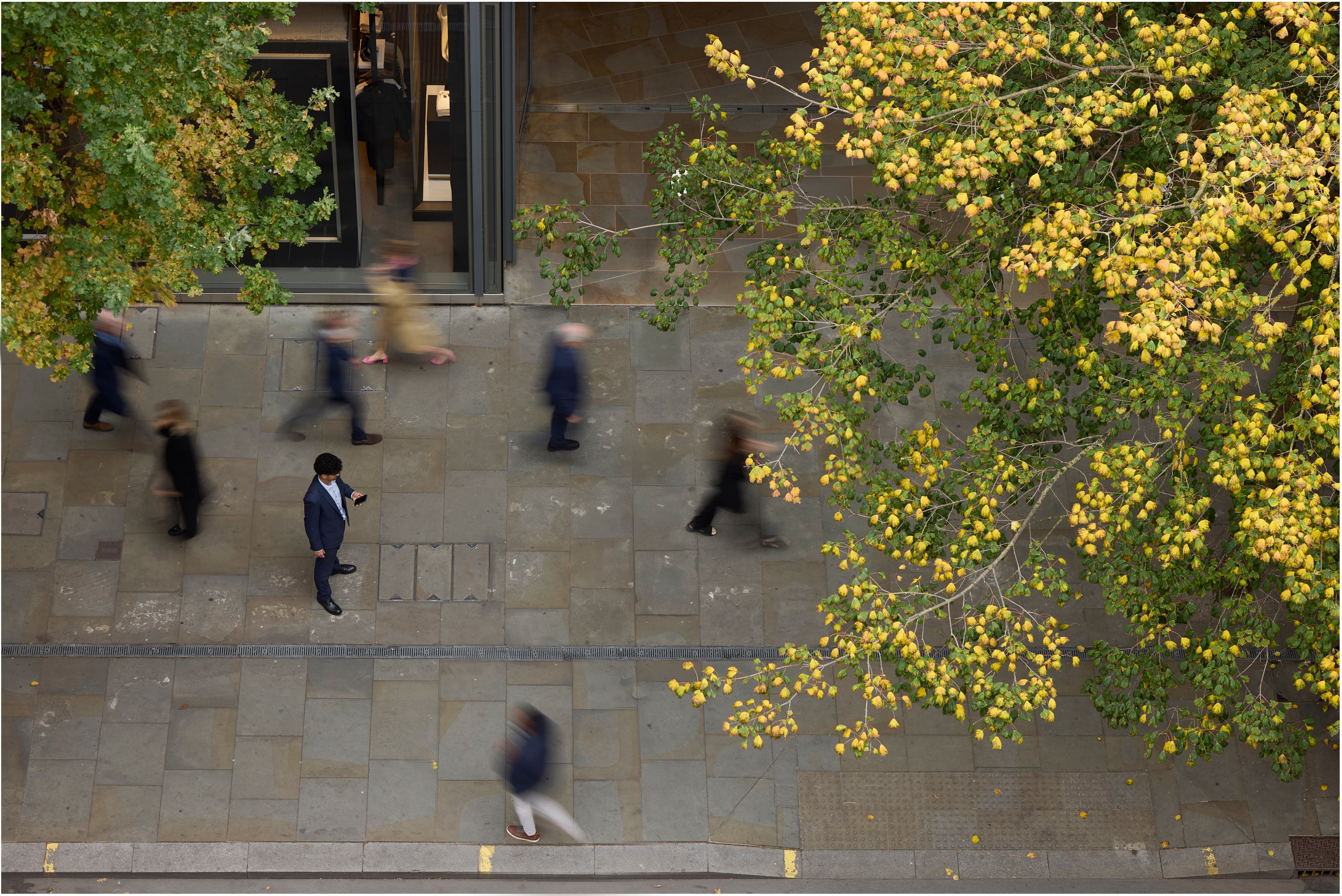 head shots buzzacott 22387Low res