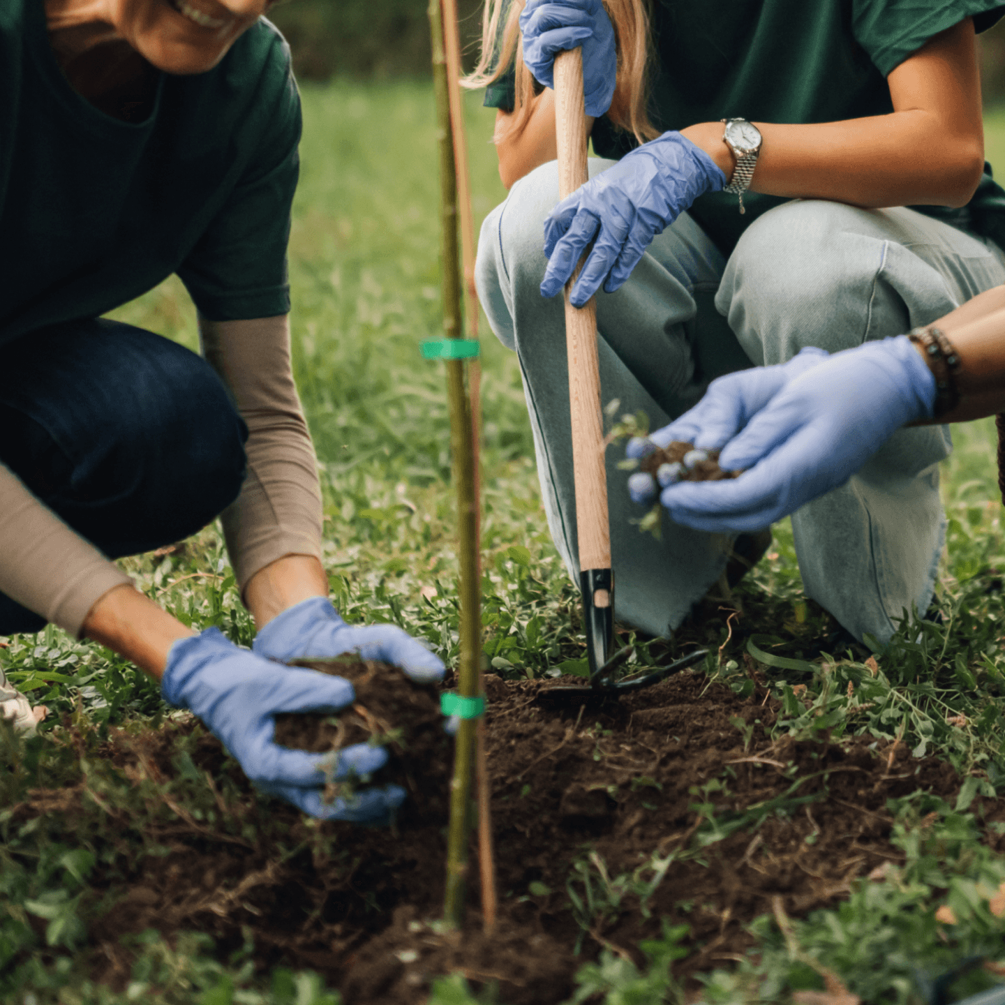 buzzacott-charities-and-not-for-profits